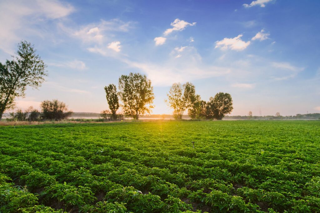 agriculture